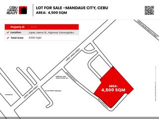 4500 SqM Lot for Rent in Subangdako Mandaue