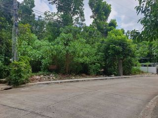 LOT FOR SALE IN BANILAD, CEBU CITY INSIDE MARIA LUISA SUBDIVISION