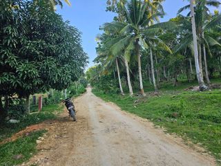 5,990 sqm clean title for sale in Bosongon Tubigon Bohol Philippines