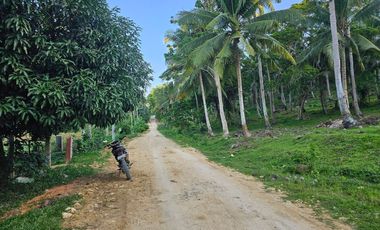 5,990 sqm clean title for sale in Bosongon Tubigon Bohol Philippines