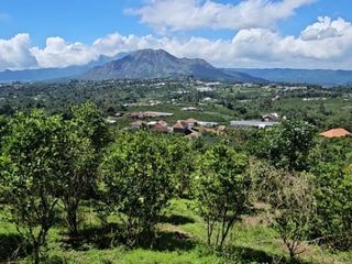 [FOR SALE] Prime 8,650 sqm Yellow Zone Land in Sukawana, Kintamani – Panoramic Mount Batur View