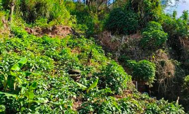 Residential Lot near Schools in Baguio City
