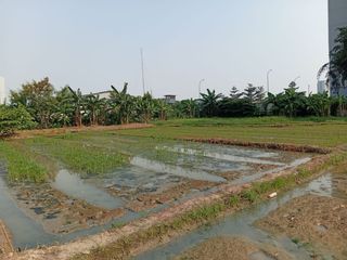 Dijual Tanah SHM 2,2 Hektare Cocok untuk Gudang, Pabrik, Perumahan, atau Investasi di Jaktim MK-18518