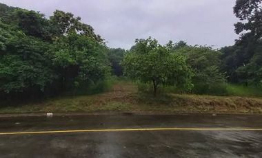 2 Sun Valley Adjoining Fairway Lots for SALE