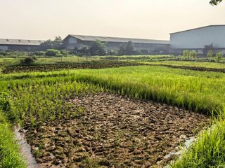 Peluang Investasi! Tanah Strategis Mekarjaya Curug Tangerang Legalitas Lengkap Rekomendasi Terbaik: