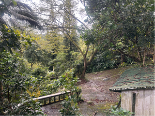 For Sale 19,650 SQM Nature Estate in Tagaytay