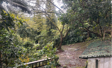 For Sale 19,650 SQM Nature Estate in Tagaytay