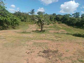 4.1-Hectare Lot for Sale