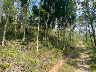Tanahmurah wonosari gunung kidul
