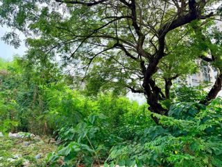 Prime Commercial Lot for Sale near Persimmon Condo | Perfect Investment for Commercial, Residential or Office