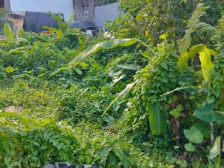 TANAH LUASAN KECIL JALAN PANDU DALUNG DEKAT PADONAN CANGGU COCOK UNTUK HUNIAN ATAU RUMAH KOST