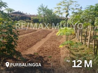 Dijual Tanah Subur Seluas 8.830 m2 Lokasi Purbalingga