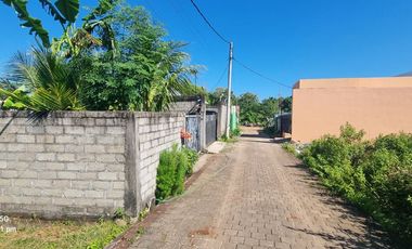 Freehold Land for Sale in Bukit Kutuh – 3 Are Residential Land with High Investment Potential