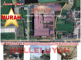 MURAH!Dijual gidang di Ngoro,Mojokerto,Jawa Timur LT3,75Ha LB2Ha,SHGB,Pinggir jln raya
