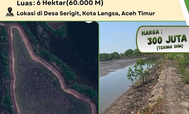 Dijual Tambak Ikan & Udang 6 Hektar SHM di Kota Langsa | Harga Rp300 Juta | Siap Investasi