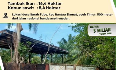 Lahan Kebun Sawit & Tambak | Legalitas SHM | Cocok untuk Investor