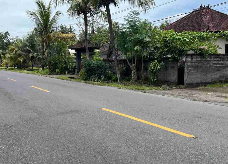 place photo 16