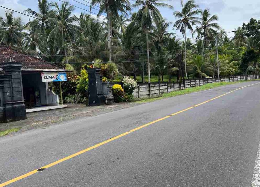 place photo 18