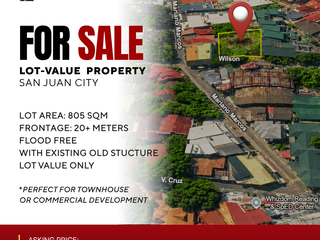 FOR SALE | Lot-Value Property in San Juan City
