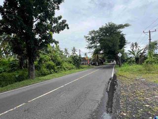 jual tanah pinggir jalan antar provinsi di panghyangan bali.