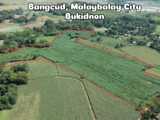 4.3 Hectare Flat Agricultural Land for Sale in Bangcud, Malaybalay | Ideal for Farming, Resort, or Development
