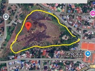 3.7 Hectare Elevated Lot for Sale in Valencia City | Near Farmers Market | Ideal for Residential or Commercial Development