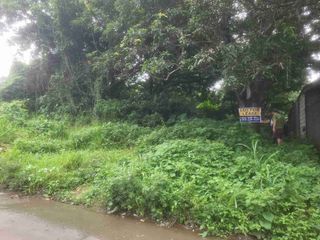 800sqm vacant lot for sale or lease in San Vicente San Pedro Laguna