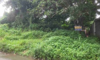 800sqm vacant lot for sale or lease in San Vicente San Pedro Laguna