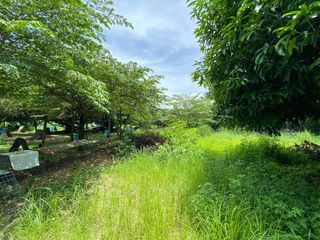 4,305 SQM Residential & Agricultural Lot for Sale in Yati, Liloan, Cebu | Prime Investment Property