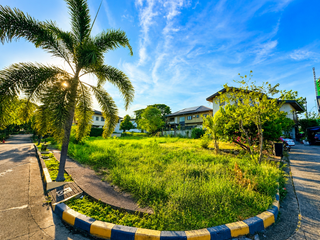 Palms Pointe Filinvest Alabang Lot for Sale 333sqm