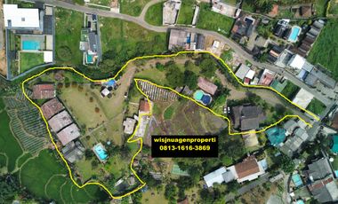 Villa Puncak Produktif dan Prospektif dekat Pasar Cisarua Puncak Akses Bis 3/4
