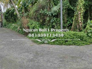 Dijual Tanah Murah Luas 250 m2 Kawasan Villa di Ubud Pejeng