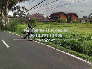 Land For Sale Luas 23,37 Are Kawasan Villa di Ubud Pejeng