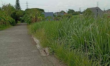 Lot For Sale in Vineyard Dasmarinas