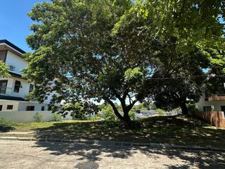 FOR SALE: 374 SQM Residential Lot in Lindenwood Residences, Muntinlupa City