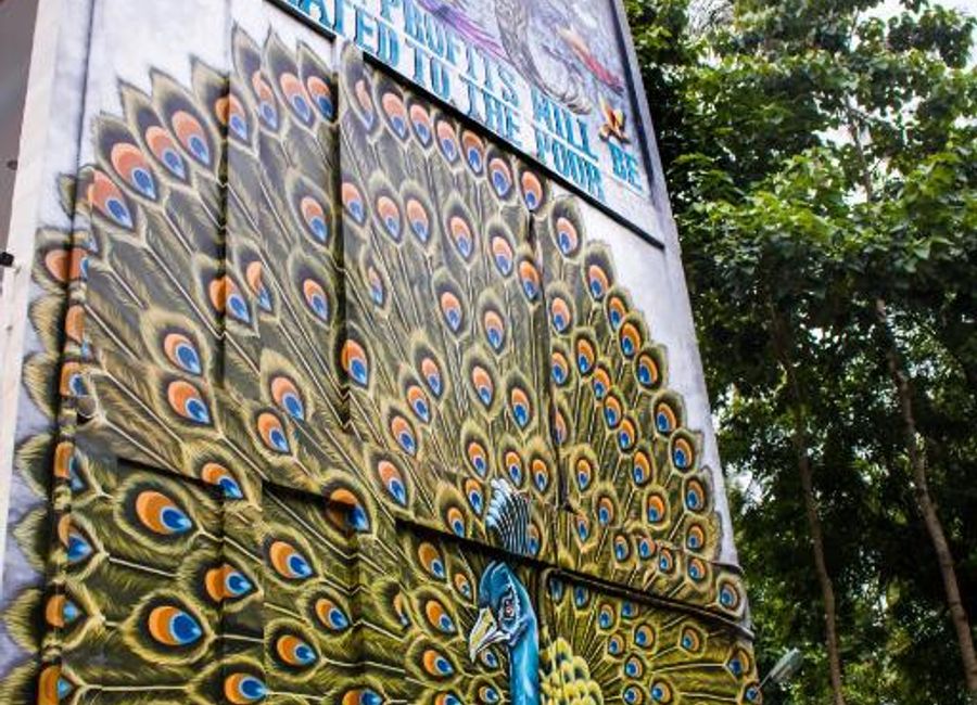 place photo 7