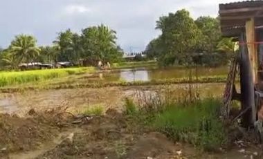 Commercial/Residential Lot for sale in Upper Doongan Brgy. Bayanihan Butuan City