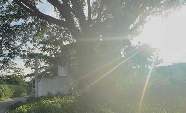 Rush Lot For Sale in Vineyard Residences Dasmarinas Cavite