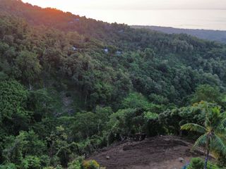 Land sell near lovina