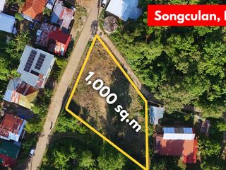 𝗥𝗘𝗦𝗜𝗗𝗘𝗡𝗧𝗜𝗔𝗟 𝗟𝗢𝗧 𝗙𝗢𝗥 𝗦𝗔𝗟𝗘! in Songculan, Dauis