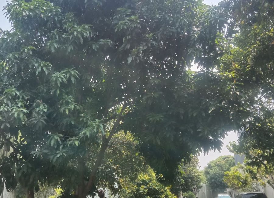 place photo 33