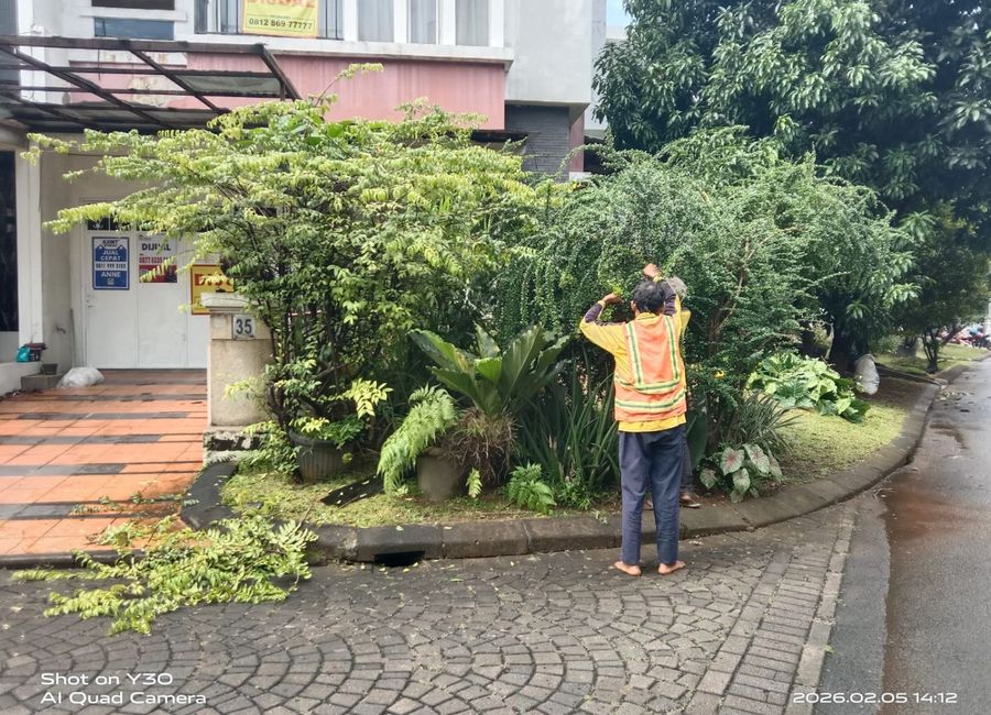 place photo 28