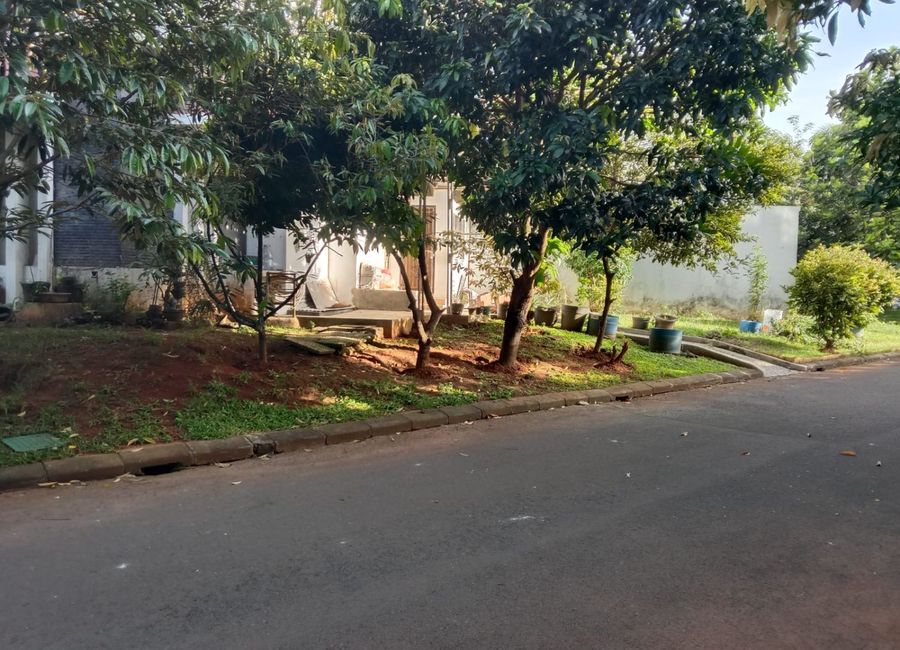place photo 24