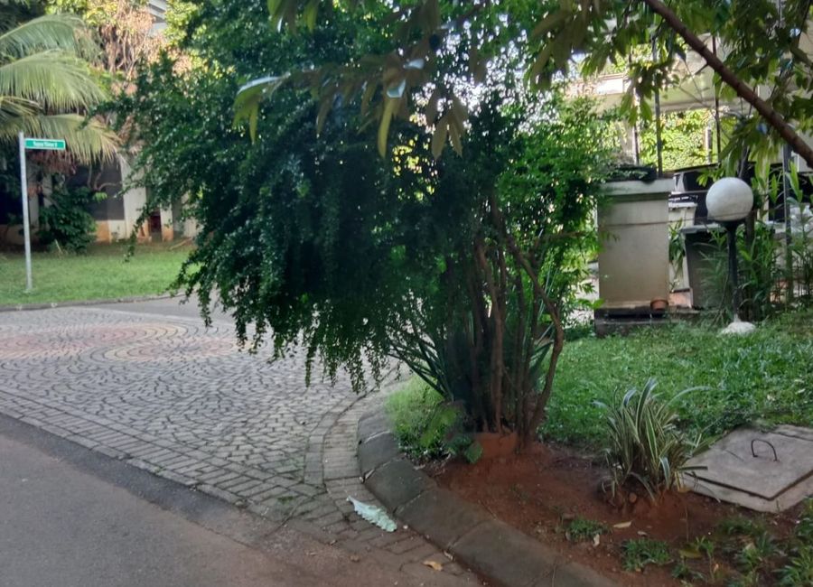 place photo 13