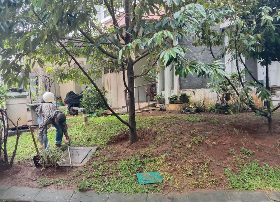 place photo 14