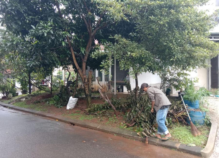 place photo 25