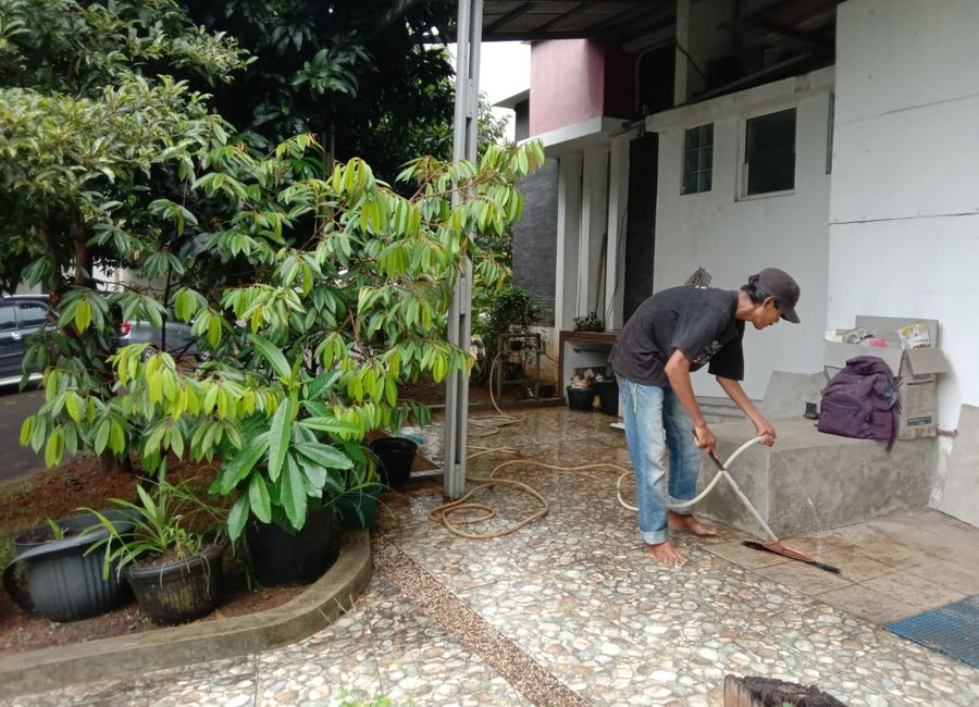 place photo 23