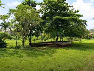 KAVLING SUPER BAGUS LOKASI DAN AKSESNYA DI PAMULANG,PINGGIR JALAN HARGA SPESIAL!