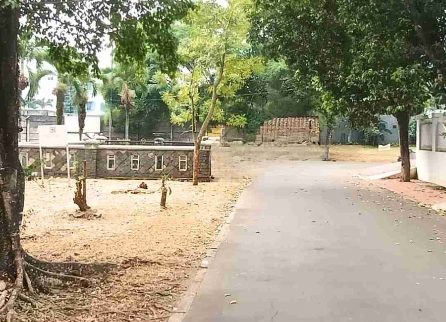 place photo 4