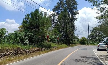 Commercial lot at Beckel La Trinidad Benguet